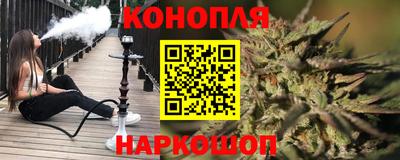 гашик Можга